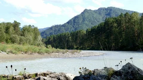 4k – Mountain river Katun 03 Stock Footage 53861138
