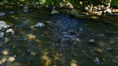 4K. Mountain  river or stream  with stones in sunny day. Panorama Stockbeeldmateriaal 79474175