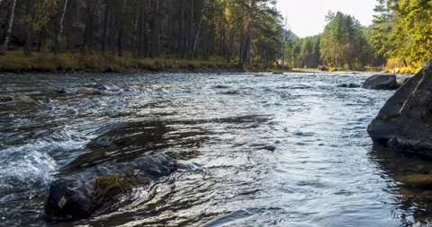4K mountain river timelapse at the summer or autumn time. Wild nature, clear Stock Footage 222523205