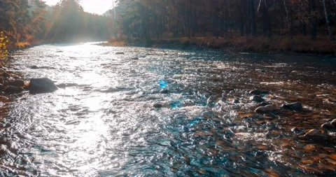 4K mountain river timelapse at the summer or autumn time. Wild nature, clear Stock Footage 222523709