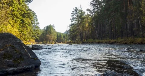4K mountain river timelapse at the summer or autumn time. Wild nature, clear Stock Footage 222524600