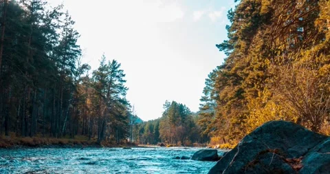 4K mountain river timelapse at the summer or autumn time. Wild nature, clear Stock Footage 287295362