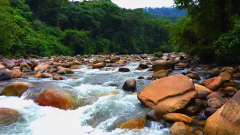 4K mountain river timelapse at the summer or autumn time. Wild nature, clear wat Stock Footage 288009921