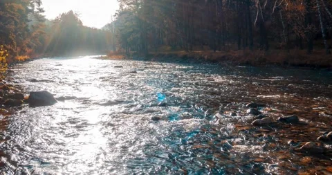 4K mountain river timelapse at the summer or autumn time. Wild nature, clear Stock Footage 292791287