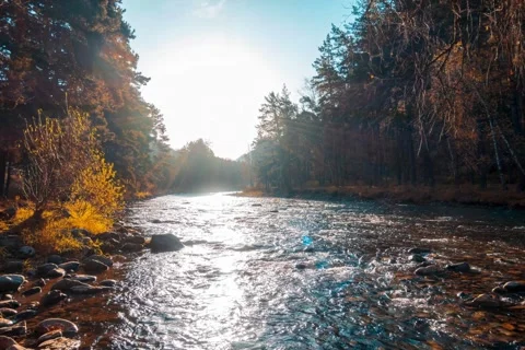 4K mountain river timelapse at the summer or autumn time. Wild nature, clear Stock Footage 292791945