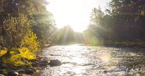 4K mountain river timelapse at the summer or autumn time. Wild nature, clear Stock Footage 311554461