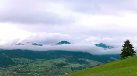 4K . Mountain  spring clouds and alone tree. Time lapse without birds. Stockbeeldmateriaal 63501516