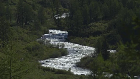 4k. Mountain spring stream is a fast wild river in the forest Stock Footage 123544220