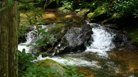 4K Mountain Stream with clear flowing water. Stock Footage 65700166