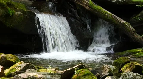4K Mountain Stream with clear flowing water. 動画素材 65743779