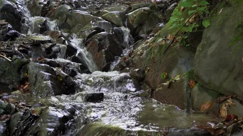 4k Mountain stream flows down a rock in the Carpathians Stock Footage 138869779