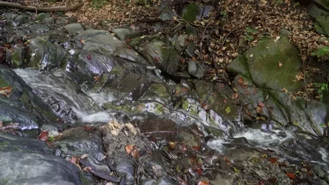4k Mountain stream flows down a large rock in the autumn leaves Stock Footage 138870091