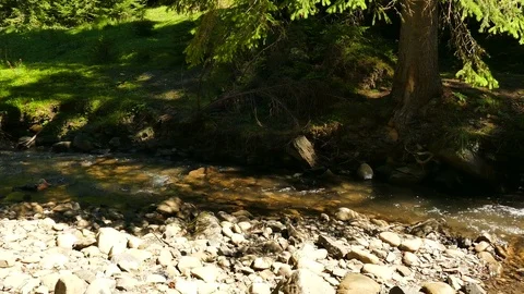 4K. Mountain  stream  with  small waterfall. Landscape panorama Vidéo 82331667