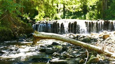4K. Mountain  stream  in wood  with old log  Видео 82331273