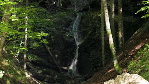 4k with a mountain waterfall gently flowing on an autumn day. Stock Footage 251548632