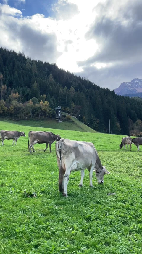 4k Mountains in Tirol Stock Footage 328939153