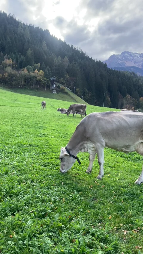 4k Mountains in Tirol Stock Footage 328939164