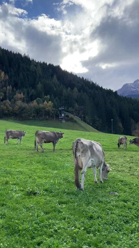 4k Mountains in Tirol Stock Footage 328939184