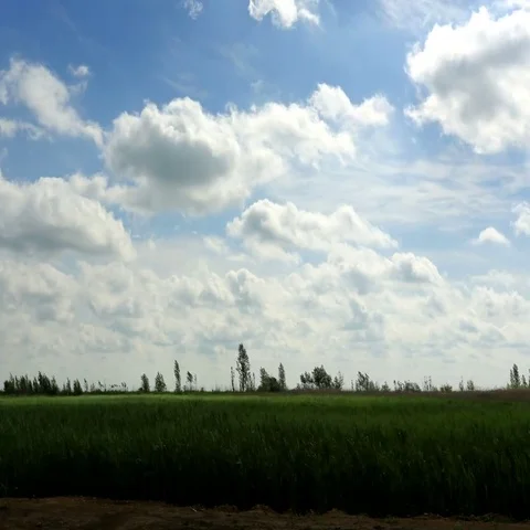 4K. Movement of the clouds over the lake Batayskoye. Bataysk, Rostov Region Stock Footage 69410125