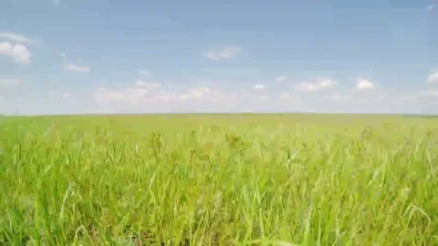 4K. Movement of clouds in the steppe, Rostov region, Russia, (Time Lapse)  Stock Footage 69219474