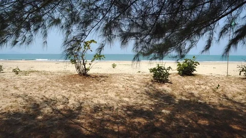 4k movement from first person view walking from a park to a beach with  Vídeos de archivo 87738049