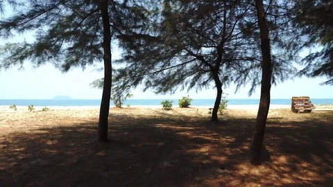 4k movement from first person view walking from a park to a beach  Vídeos de archivo 88437375
