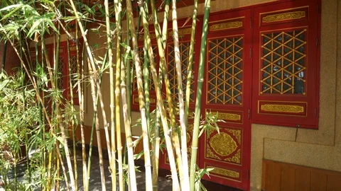 4k Moving Bamboo Tree with Chinese Style Background  Stock Footage 124673196