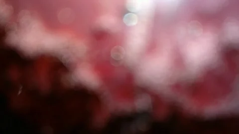 4k Moving bokeh seen from inside a car driving through the city Stock Footage 97926501