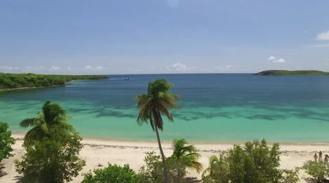 4k Moving Down the Beach High Up in Palm Trees Stock Footage 63473076