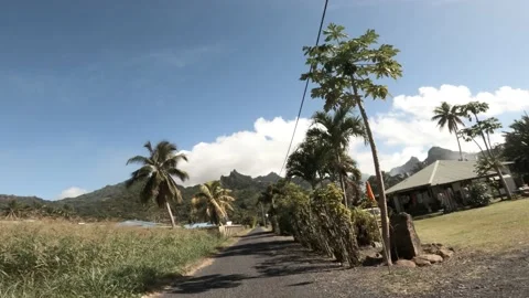 4k moving forward riding view at a backroad in tropical Pacific Cook Islands 스톡 동영상 233675617