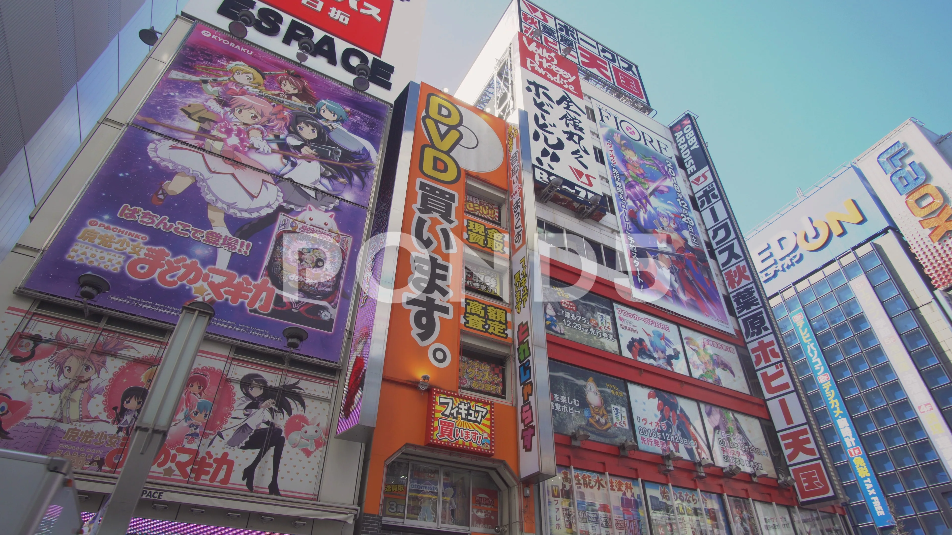 Anime Paradise at Akihabara | GoWithGuide