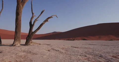 4K moving shot of dead trees in Dead vlei inside the Namib-Naukluft Park Stock Footage 64696589