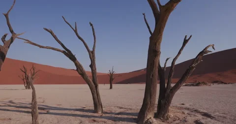 4K moving shot of dead trees in Dead vlei Stock Footage 64710816