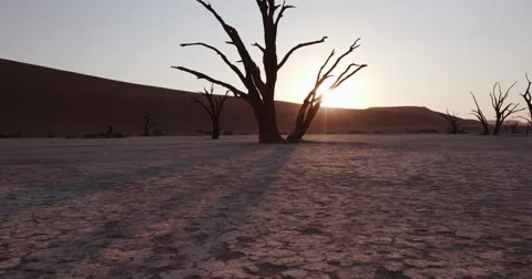 4K moving shot of sun setting behind dead trees in Dead vlei Stock Footage 64696711