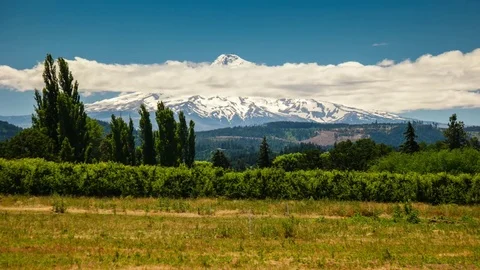 4K Mt. Hood OR Vídeos de archivo 70796019