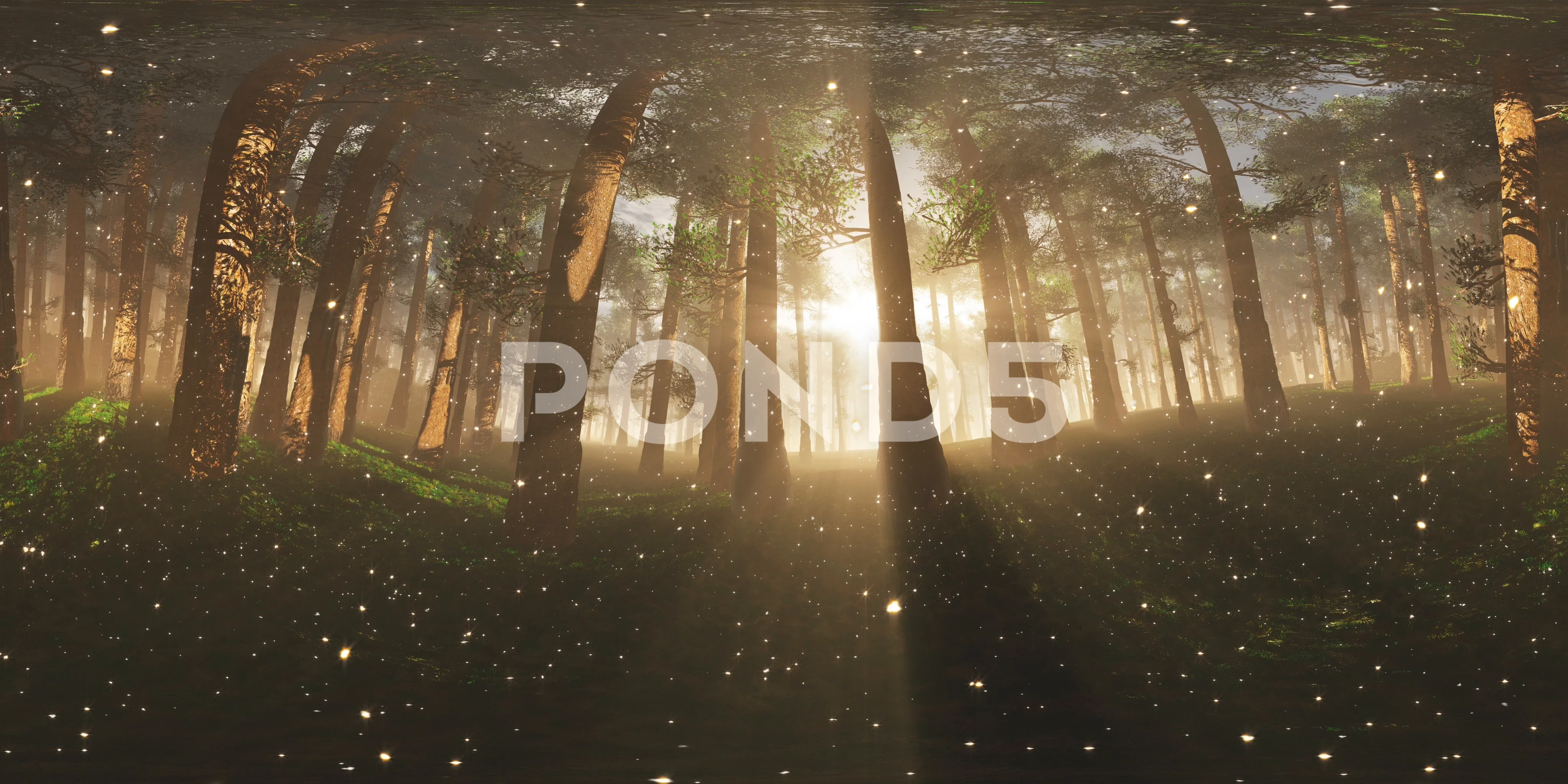 4K In the Mysterious Deep Magic Forest Stock Video Pond5