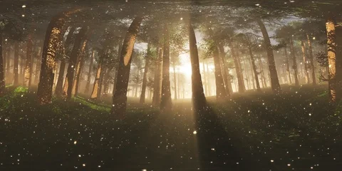 4K In the Mysterious Deep Magic Forest with Fireflies VR 360 Stock Footage 93993888