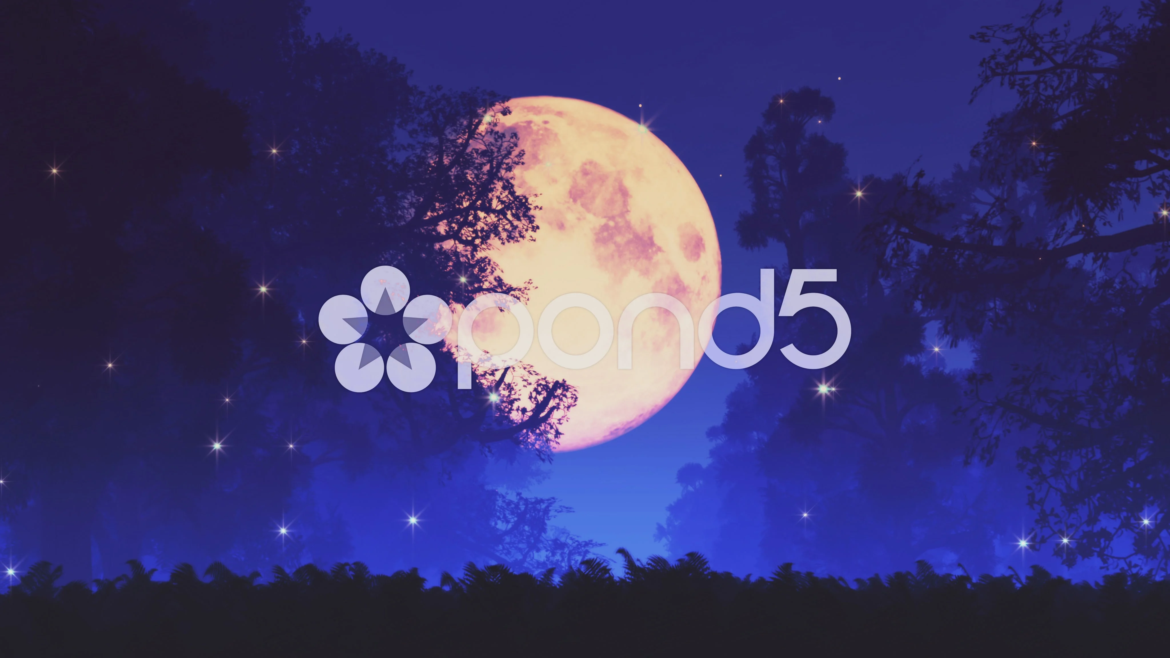 4k-mysterious-magic-forest-and