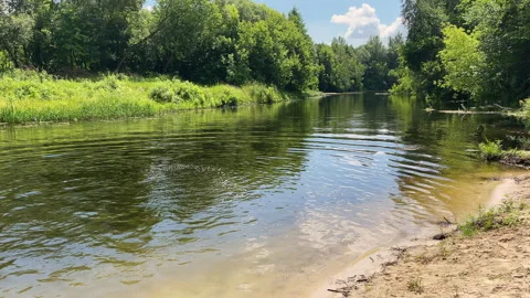 4k Narrow river between green trees with a sand beach. Stock Footage 157914512