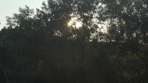 4K Nature concept view: sunset sun shining riding with the car optical illusion Stock Footage 119773377