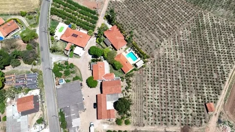 4K Nature Fly Stock Footage 320015677