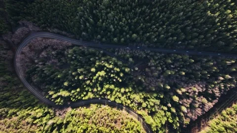 4k Nature Forest - Unique Aerial View Of Mountain Forest Road Traffic Stock Footage 170209931