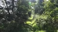 4k Nature reserve marshland hidden pathway time lapse 4k or 4k+ Resolution