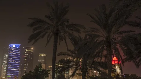4K Night scene of Doha, Qatar. Time lapse with palm trees in the foreground. Stock Footage 100864098