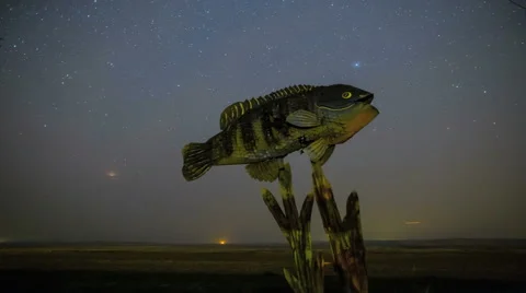 4K Night Sky Stars Over Giant Fish Art Enchanted Highway, North Dakota Stock Footage