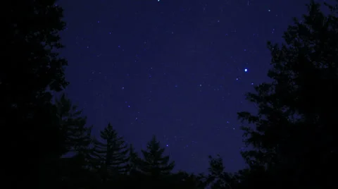 4K Night Sky Timelapse 05 Dolly R Forest Pine Trees Stock Footage 36928797