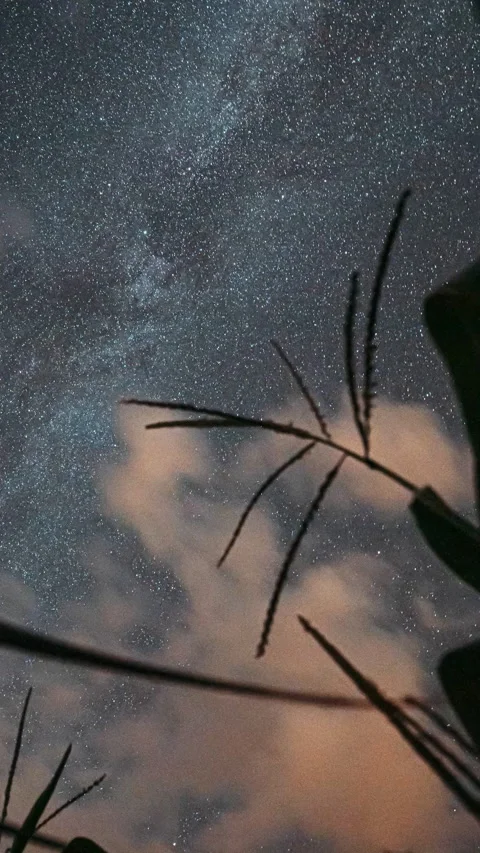 4K Night Starry Sky With Glowing Stars And Meteoric Track Trails Above Green Stock Footage 232932933