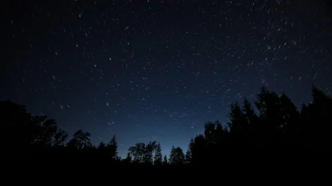 4k night time lapse with startrails over forest. Stock Footage 198875516
