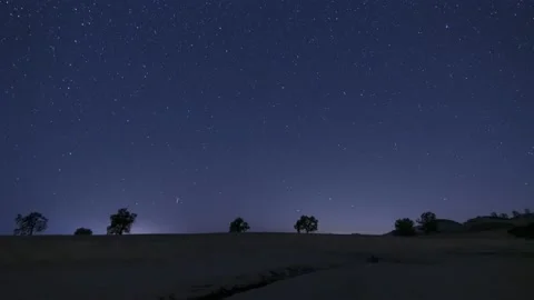 4K Night Time Star Timelapse With Trees In The Distance Stock Footage 145229111