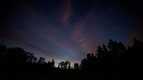 4k night Timelapse with cloudy sky and stars over forest Stock Footage 198875361